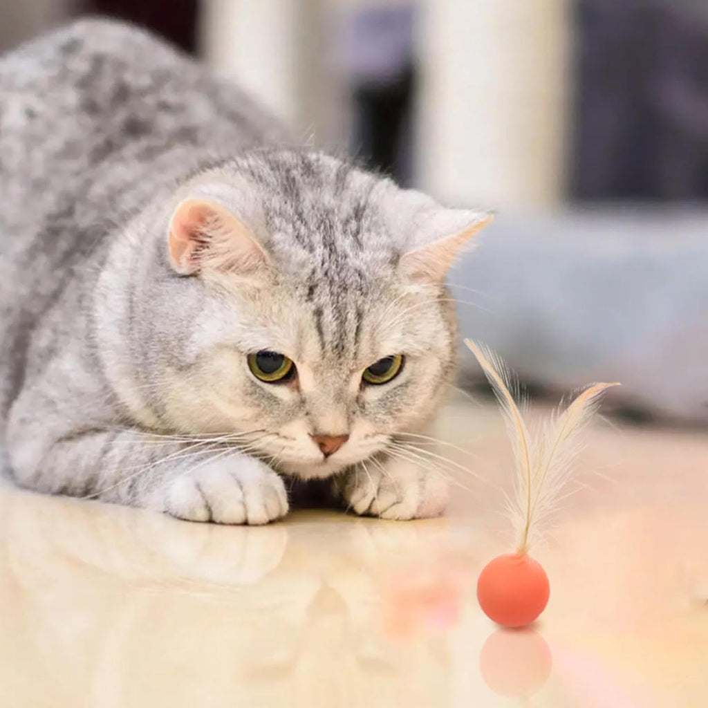 Cat And Dog Toy Bouncy Ball Jumping Ball Interactive Funny Cat  Colorful High Elastic Pet Toy